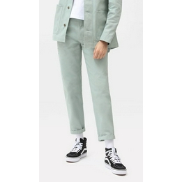 Overview image: Canvas Carpenter pant