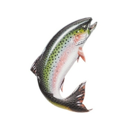 Overview image: Burton foam mat brushie fish