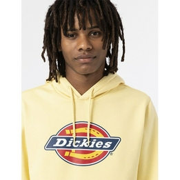 Overview image: ICON LOGO HOODIE