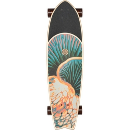 Overview second image: Chromantic 33" longboard
