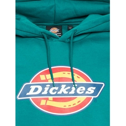 Overview second image: ICON LOGO HOODIE